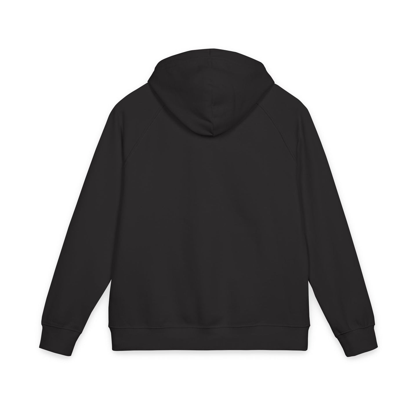 100% Organic Cotton Eco-Friendly Embroidered Hoodie | Cozy Casual Wear, Sustainable Fashion, Gift for Him/Her, Perfect for Outdoor Adventures