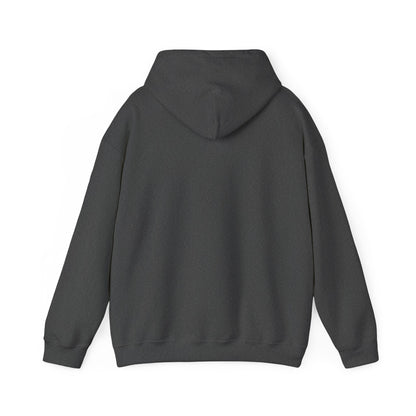 Sustain Serenity Hoodie - Cozy Unisex Collection